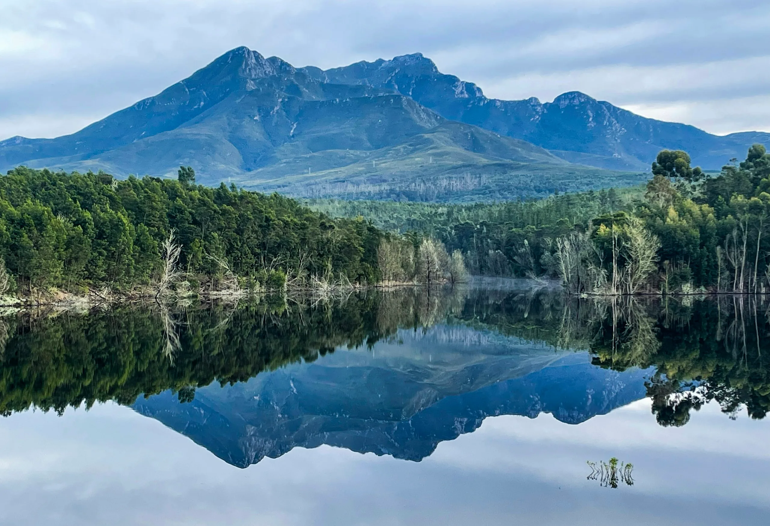 George Dam, with the Outeniqua mountains reflected in still water